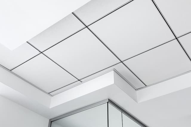 Acoustic Ceilings service